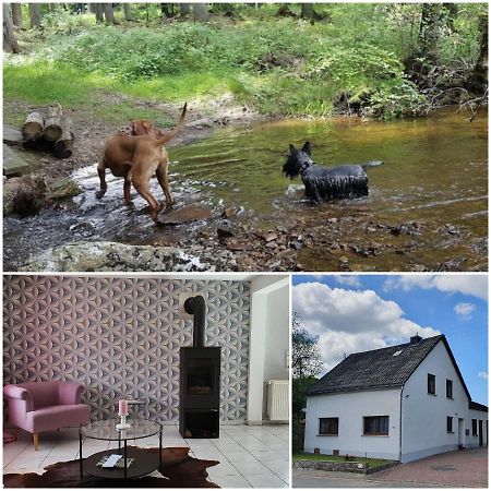 Nationalpark Ferienhaus Sophia-Luisa Borfink Ngoại thất bức ảnh
